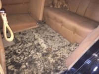 1939 Packard 1708 for sale in Cadillac, Michigan (ID-48509)