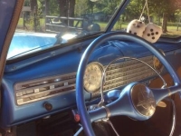 1941 Chevrolet Special Deluxe for sale in Cadillac, Michigan (ID-48775)