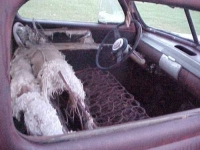 1941 Ford Sedan for sale in Cadillac, Michigan (ID-48153)