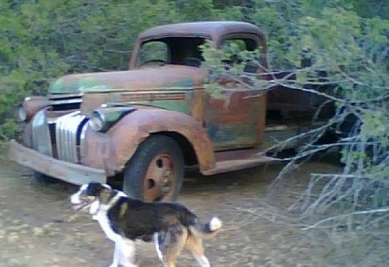 1946 Chevrolet Pickup for sale in Cadillac, Michigan (ID-48564)