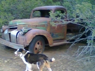 1946 Chevrolet Pickup for sale in Cadillac, Michigan at $5,195
