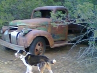 1946 Chevrolet Pickup for sale in Cadillac, Michigan (ID-48564)