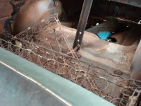 1950 Studebaker Champion for sale in Cadillac, Michigan (ID-48287)