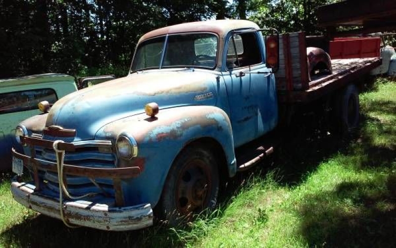 1951 Chevrolet Pickup for sale in Cadillac, Michigan (ID-48699)