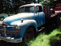 1951 Chevrolet Pickup for sale in Cadillac, Michigan (ID-48699)