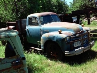 1951 Chevrolet Pickup for sale in Cadillac, Michigan (ID-48699)