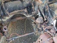 1953 Ford Victoria for sale in Cadillac, Michigan (ID-48872)