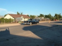 1955 Chevrolet Bel Air for sale in Cadillac, Michigan (ID-48864)