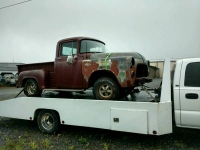 1955 Dodge Truck for sale in Cadillac, Michigan (ID-48063)
