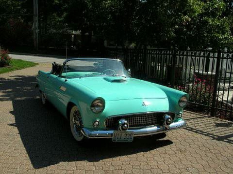1955 Ford Thunderbird for sale in Cadillac, Michigan (ID-48076)