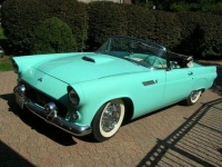 1955 Ford Thunderbird for sale in Cadillac, Michigan (ID-48076)