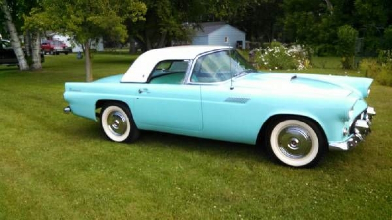 1955 Ford Thunderbird for sale in Cadillac, Michigan (ID-48195)