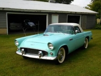 1955 Ford Thunderbird for sale in Cadillac, Michigan (ID-48195)