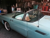 1955 Ford Thunderbird for sale in Cadillac, Michigan (ID-48195)