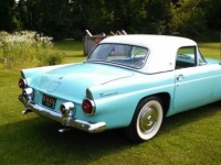 1955 Ford Thunderbird for sale in Cadillac, Michigan (ID-48195)