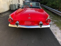 1955 Ford Thunderbird for sale in Cadillac, Michigan (ID-48281)