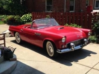 1955 Ford Thunderbird for sale in Cadillac, Michigan (ID-48473)