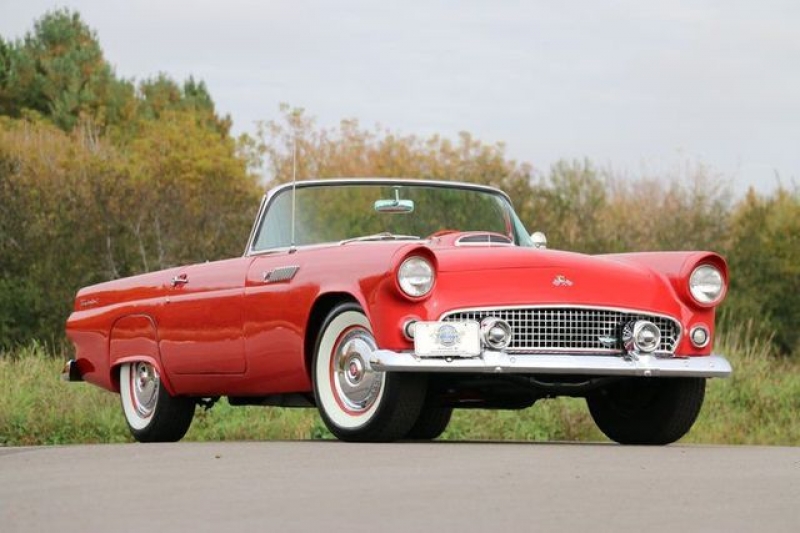 1955 Ford Thunderbird for sale in Riverhead, New York (ID-1389)