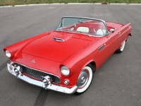 1955 Ford Thunderbird for sale in Riverhead, New York (ID-1389)
