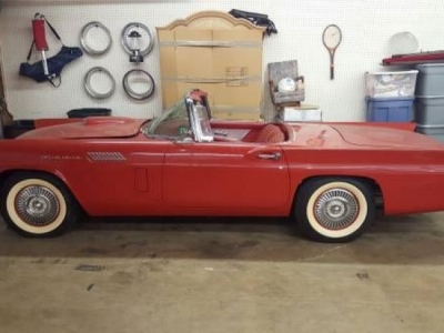 1957 Ford Thunderbird for sale in Cadillac, Michigan (ID-1624)