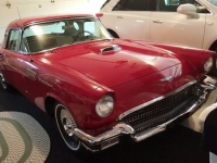 1957 Ford Thunderbird for sale in Cadillac, Michigan (ID-48104)