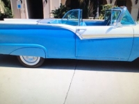 1957 Ford Fairlane for sale in Cadillac, Michigan (ID-48188)
