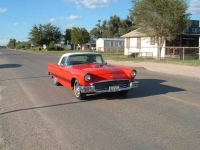 1957 Ford Thunderbird for sale in Cadillac, Michigan (ID-48555)