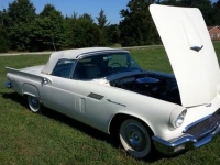1957 Ford Thunderbird for sale in Cadillac, Michigan (ID-48584)