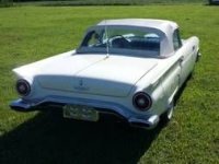 1957 Ford Thunderbird for sale in Cadillac, Michigan (ID-48584)