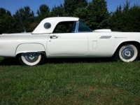 1957 Ford Thunderbird for sale in Cadillac, Michigan (ID-48584)