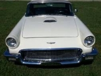 1957 Ford Thunderbird for sale in Cadillac, Michigan (ID-48584)