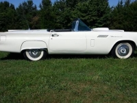 1957 Ford Thunderbird for sale in Cadillac, Michigan (ID-48584)