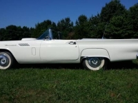 1957 Ford Thunderbird for sale in Cadillac, Michigan (ID-48584)