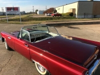 1957 Ford Thunderbird for sale in Cadillac, Michigan (ID-48651)