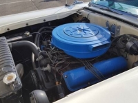 1959 Ford Galaxie for sale in Cadillac, Michigan (ID-48198)