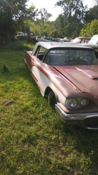 1960 Ford Thunderbird for sale in Cadillac, Michigan (ID-48145)