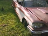 1960 Ford Thunderbird for sale in Cadillac, Michigan (ID-48145)