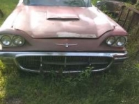 1960 Ford Thunderbird for sale in Cadillac, Michigan (ID-48145)