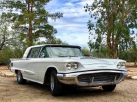 1960 Ford Thunderbird for sale in Cadillac, Michigan (ID-48527)