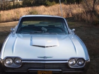 1961 Ford Thunderbird for sale in Cadillac, Michigan (ID-48110)