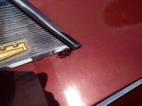 1963 Chrysler New Port for sale in Cadillac, Michigan (ID-48257)