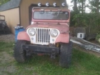 1963 Jeep CJ5 for sale in Cadillac, Michigan (ID-48311)