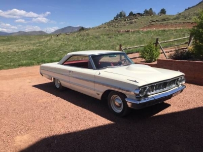 1964 Ford Galaxie for sale in Cadillac, Michigan (ID-1557)