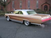 1964 Oldsmobile 88 for sale in Cadillac, Michigan (ID-48228)