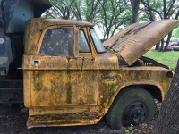 1965 Dodge 600 for sale in Cadillac, Michigan (ID-48032)