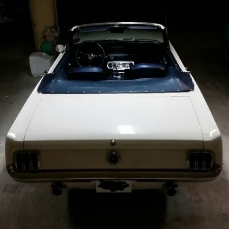 1965 Ford Mustang for sale in Cadillac, Michigan (ID-1543)