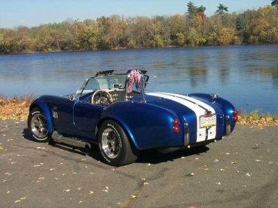1965 Ford Cobra for sale in Cadillac, Michigan (ID-1643)