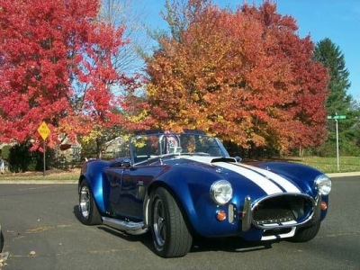 1965 Ford Cobra for sale in Cadillac, Michigan at $82,995