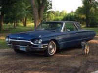 1965 Ford Thunderbird for sale in Cadillac, Michigan (ID-48285)