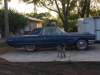 1965 Ford Thunderbird for sale in Cadillac, Michigan (ID-48285)
